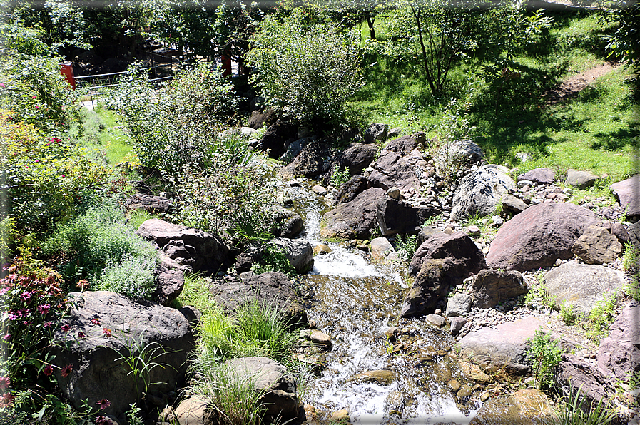 foto Giardini Trauttmansdorff - Giardini acquatici